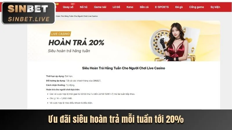 Hoàn trả tiền cược hàng tuần với tỷ lệ hấp dẫn